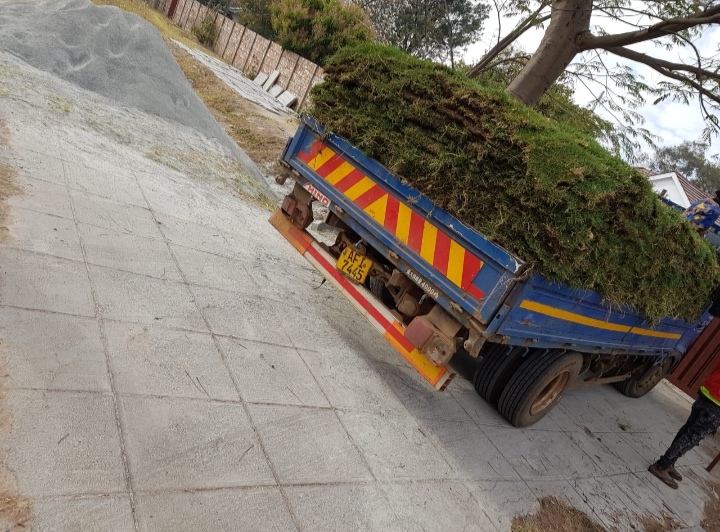 Kikuyu instant loan